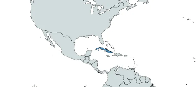 Caribbean 